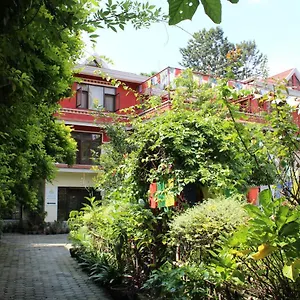 Rokpa Pensión